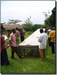 Solar dried fruit project